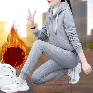 Women's Two Piece Pants 2024 Fleece Full Body Warm Casual Suit Women Autumn Winter Slimming Two-piece Set Solid Color Hooded Sweater