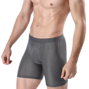 Cuecas masculinas shorts gelo seda legal conforto respirável malha longa perna breve viscose roupa interior para calças masculinas presente