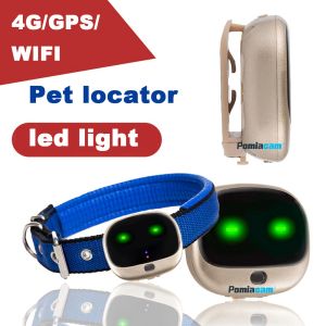 AT-RF-V43 4G GPS Kişisel İzleyici Mini GPS PET TRACKER 4G LTE 2G GSM ÜCRETSİZ Uygulama ile En İyi Köpek GPS Tracker