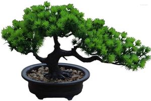 Decorative Flowers Artificial Bonsai Plant Potted House Japanese Pine 19 Cm In Height 34 Width For Home Decoration Desktop Display