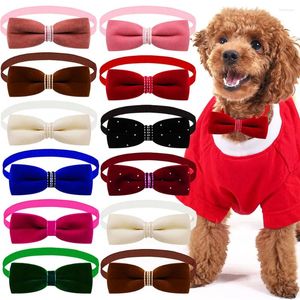 Abbigliamento per cani 40 pezzi Papillon in velluto Papillon per cani di taglia piccola e media Moda Collare per papillon per gatti Accessori per toelettatura Prodotti per animali domestici