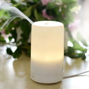 Burners 3 In1 LED Night Light USB Essential Oil Ultrasonic aromaterapi som skyddar luftfuktare Dry Electric Fragrance Diffuser 2019