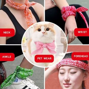 Lenços Toalhas Pet Wear Skincare Baixar a temperatura Pescoço Cachecol Pulseira Verão Refrigeração Corpo Cooler Bandana