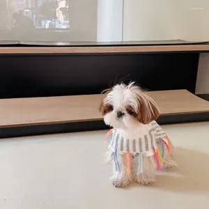 Cão vestuário design de inverno colorido franja pet malha suéter alto pescoço quente cabo cachorrinho maltês schnauzer roupas pequenas