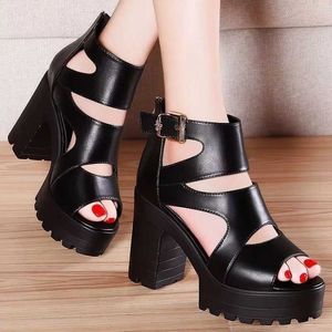 Sandaler 2024 Summer Hollow Fishbone Roman Shoes Womens Thick Heel Platform Cool Boots Fashion High Pump H240328