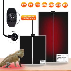 Produtos AU Plug Terrário Répteis Tapete térmico Escalada Pet Controlador de temperatura ajustável Almofadas quentes de aquecimento para acessórios de suprimentos