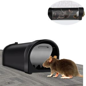 Armadilhas Armadilha para ratos humanizada captura e liberação ratoeira/roedor seguro para animais de estimação (cão/gato) melhor gaiola para ratos interna/externa