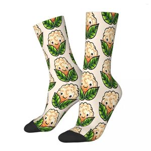 Men's Socks Cute Cauliflower Vegetable Male Mens Women Summer Stockings Harajuku