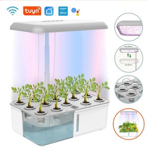 Tuya WiFi Planta Hidroponia Sistema Crescendo Luz LED Soilless Máquina de Plantio Inteligente Auto Rega Interior Casa Jardinagem Plantador 240318