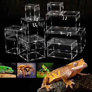 テラリウムアクリル爬虫類の繁殖箱、登山ペットの繁殖箱