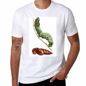 Sphinx Moth och Pupa T-shirt vanlig sublim svett T-skjortor för män Cott Y8XN#