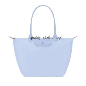 Longcha Designer Bag Women's Nylon Tote Bag Axel Stylish Waterproof Nylon Ladies Shoulder Bag, Folding Beach Travel Bag For Work, Shopping, School Large 603