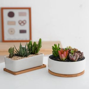 プランター1ピースシンプルな白い植物ポットセラミック陶器プランターサボテンかわいいデスクトップ植木鉢多肉植物の鍋の家の装飾