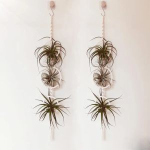 Baskets Macrame Plant Holder Cotton Rope Basket Hanging Air Plants Spanish Moss Tillandsia Usneoides Flowerpot Baskets Hanger Wall Decor