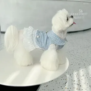 Vestido de vestuário de cachorro outono vestido de pelúcia adorável renda gato gato pequeno botão de tração