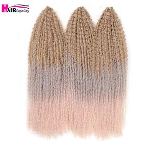 Afro Kinky Curly Crochet Braids Hair 2028 Inch Marly for Women Ombre extensions Brown 613 Expo City 2206103376803