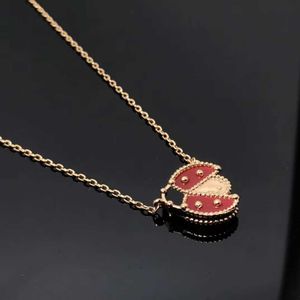 Marca de designer versão alta versão van ladybug colar eletroplatou 18k Rose Gold Gold Red Jade Medal Fre quatro folhas de colarinho fêmea fêmea feminina