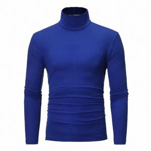 Spring Autumn Thin Men Pullovers Sweters Turtleeck Knited Sweter dla mężczyzn Cable Odzież Męskie swetry Pełne czarne topy B2AA#