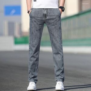 Men's Jeans 2024 Summer Style Loose Stretch Gray Fashionable Straight Light Blue Clothing