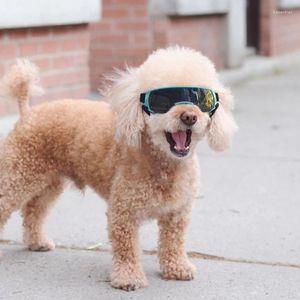Óculos de sol para cães, óculos de sol para pequenos médios e longos focinhos EVA UV com alça ajustável