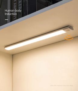 Faixa de luz de indução inteligente ultrafina para corpo humano, lâmpada de parede led, armário de vinho, armário de guarda-roupa, espelho, luz magnética recarregável multifuncional