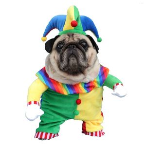 Abbigliamento per cani Halloween Costume per animali domestici Gatto in miniatura Teddy Pomerania Divertente