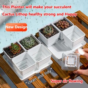 プランターメッシュポットスクエアプラスチック多肉植物リトップサボテンカクタスプランター植林箱付き植木鉢