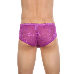 Men Sexy Lace Small Boxer Penis Pouch Panties Sissy See-Through Underpant Male Lingerie Gay Underwear Scrotum Bulge Boxer Briefs
