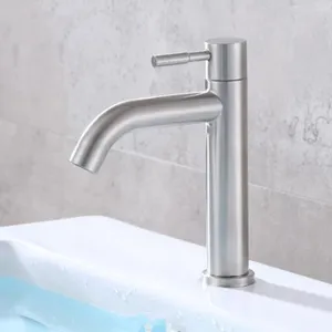 Banyo Lavabo Muslukları 1 PC Paslanmaz Çelik Havza Soğuk Su Fiske Mutfak için Tek Kol Musluğu Qly1119