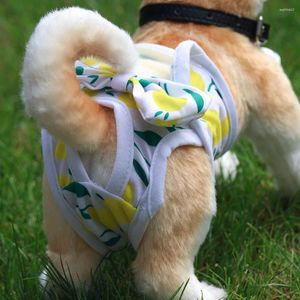 Hundebekleidung Hunde Haustier Physiologische Hosen Weibliche Windelkleidung Menstruationsbedarf Prinzessin Welpenhöschen