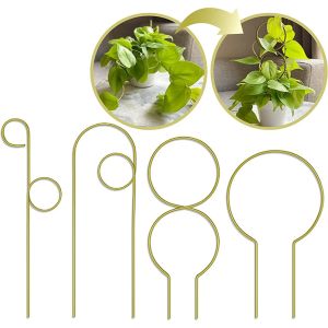 Unterstützt 4 Stück Pflanzen-Klettergerüst, Topfblumen-Arrangement-Unterstützung, Grünpflanzen-Klettergerüst, Balkon-Stütze, Eisenrahmen