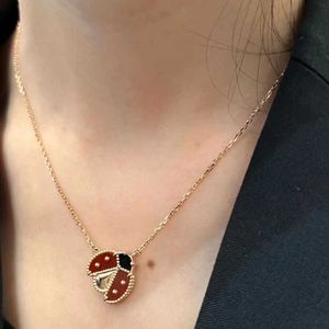Designer Brand Glod High Edition Van Ladybug Grade Necklace for Women Thickened 18K Rose Gold Plating Ins