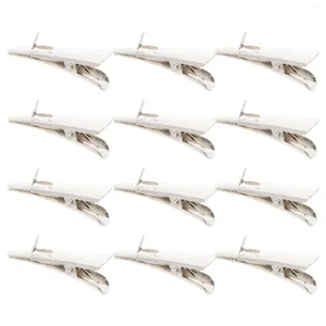 Frames 100 Pcs Alligator Clips Christmas Flower Xmas Metal Ornament Holders Decorative Props Supplies Crocodile Multifunctional Decors