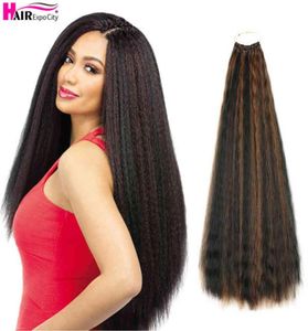 20 Inch Kinky Straight Crochet Hair Pre Looped Natural Synthetic Braid Ombre Braiding Extensions Expo City 2206105221711