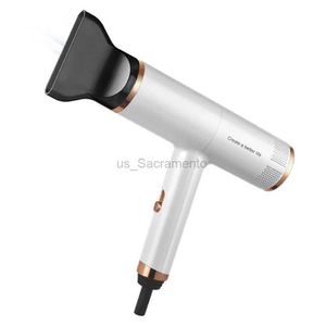 Hair Dryers 32000RPM Professional Hair Dryer Blue Light Negative Ion Hot Natural Air Powerful Strong Winds 2 Gears Low Noise Blower Nozzle 240329