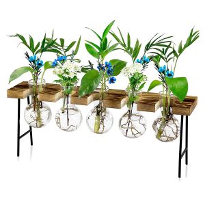 Vases Propagation Stations Desktop Air Plant Terrarium Glass Planter Bulb Glass Vase with Wooden Stand Plant Terrarium