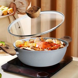 Stone Cast Iron Saucepan Stock Pot 240308