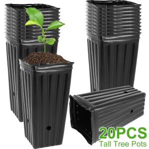 Bandejas 20pcs pote de árvore alto plástico berçário profundo treepot 7.8inch alto recipiente de planta de flor de muda com furos de drenagem reutilizáveis