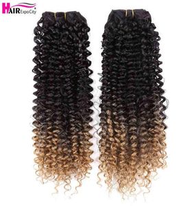 14quotJerry Lockige Bundles Synthetische Haar Ombre Weave Extensions Für Frauen Hitzebeständig 2pcsPack Expo City 2206102739363