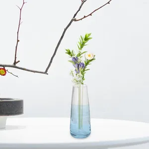 Vazolar cam masa dekorasyonu saydam bitki tenceresi ev yatak odası bar için