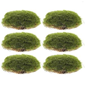 Dekorativa blommor 6 PCS trädgård Decore Bonsai Moss Stone Trim Imitated Micro Landscape Stones