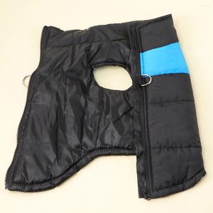 Vestuário para cães à prova d'água Pet Ski Vest Roupas Inverno Quente Casaco Acolchoado para Pequenos Cães Grandes Tamanho S (Azul)