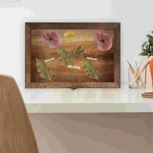 Frames Artwork Holz Display Ständer Insekten Showcase Fall Probe Vintage Box getrocknete Blütenspeicherglas staubdichtem Insektenrahmen