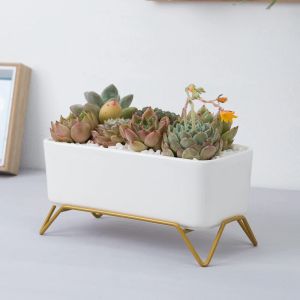 Planters White Ceramic Flowerpot with Gold Metal Stand Succulent Plant Pot Cactus Planter with Drain Hole Oval Rectangle Flower Pot