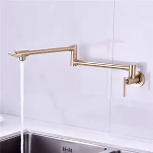 Kitchen Faucets Brushed Gold Pot Filler Tap Wall Mounted Foldable Faucet Single Cold Nickel Sink Rotate Folding Spout Black SUS304