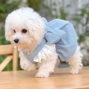 Hundkläder små hundar söt kattklänning shih tzu schnauzer valpkläder chihuahua pomeranian Yorkshire poodle bichon kläder