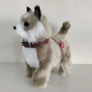 Robot Dog Zabawy Interaktywne szczeniaki elektroniczne pluszowe zwierzęcy dźwięk Control Walk Electric Teddy Touch Control Muzyka Pet Kid Prezent 240318