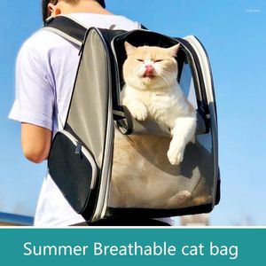 Kattbärare Summer Breattable Bag Going Out Portable Pet Back Double Shoulder ryggsäck som bär hundskola