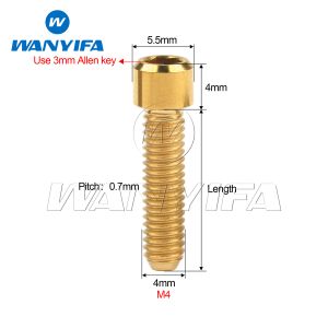 Wanyifa Titanium M4 x 10 13,5 15 20 25mm Allenschlüssel kleine Kopfschraubenschraube für Fahrrad -Daumenschieber