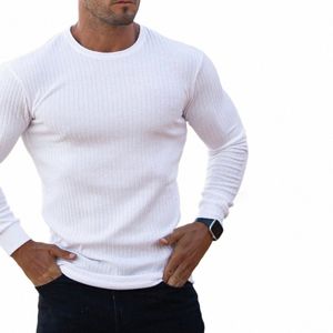 spring Autumn Fi Turtleneck Mens Thin Sweaters Casual Roll Neck Solid Pit Strip Slim Fit Sweaters Men Turtleneck Pullover 97fD#